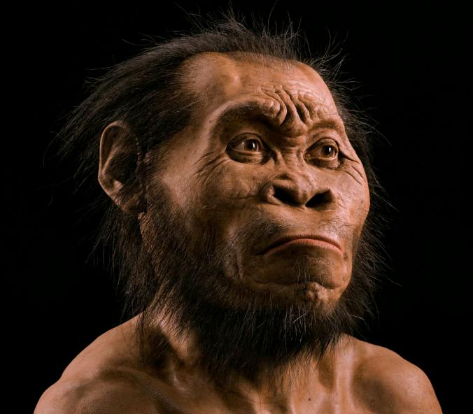 Homo Naledis